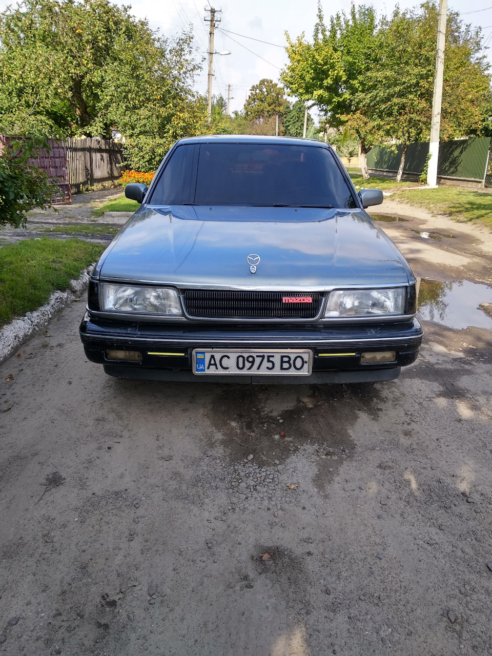 Тонер лобового скла 1