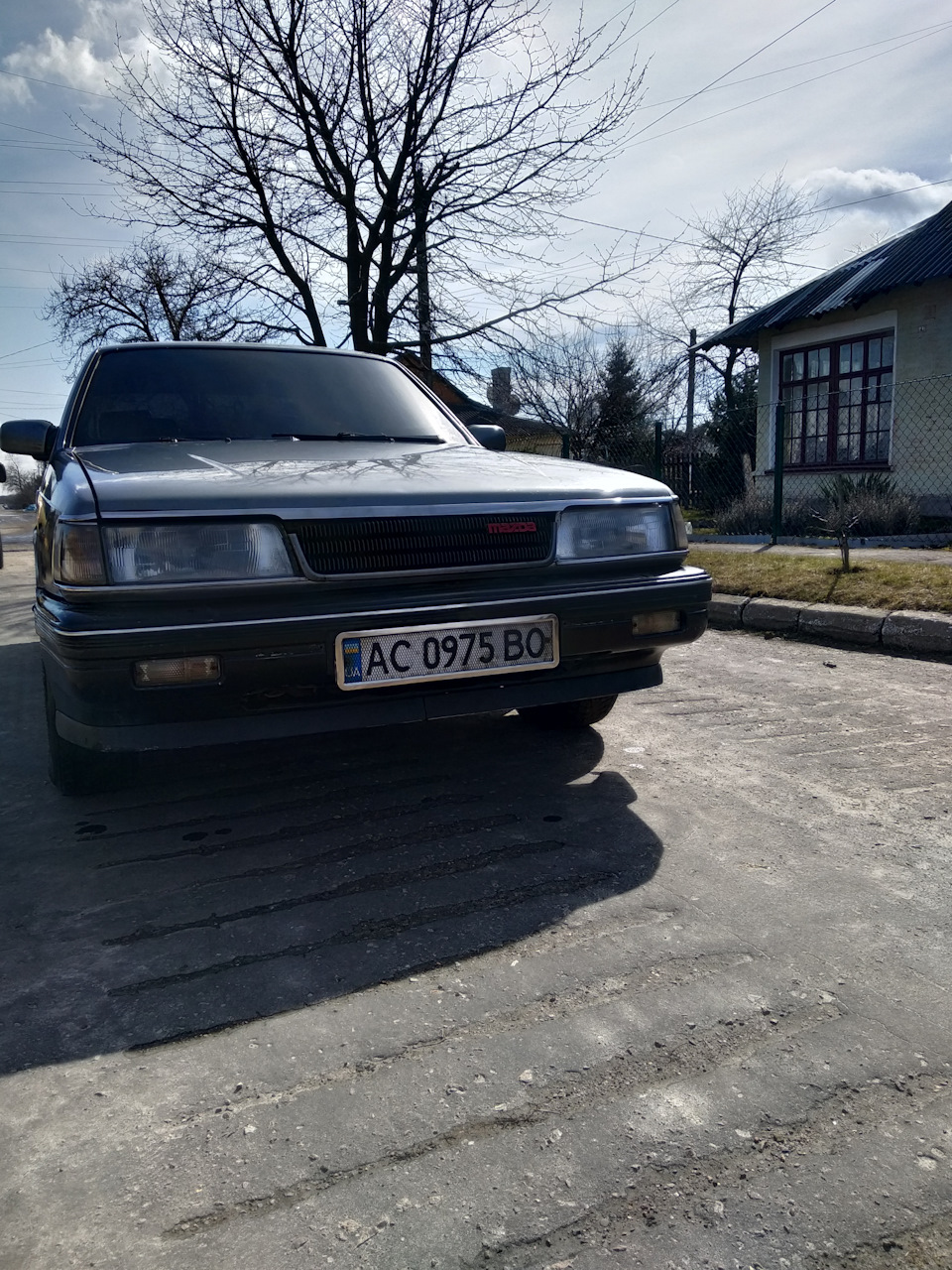 Весняний фотосет 2019 4