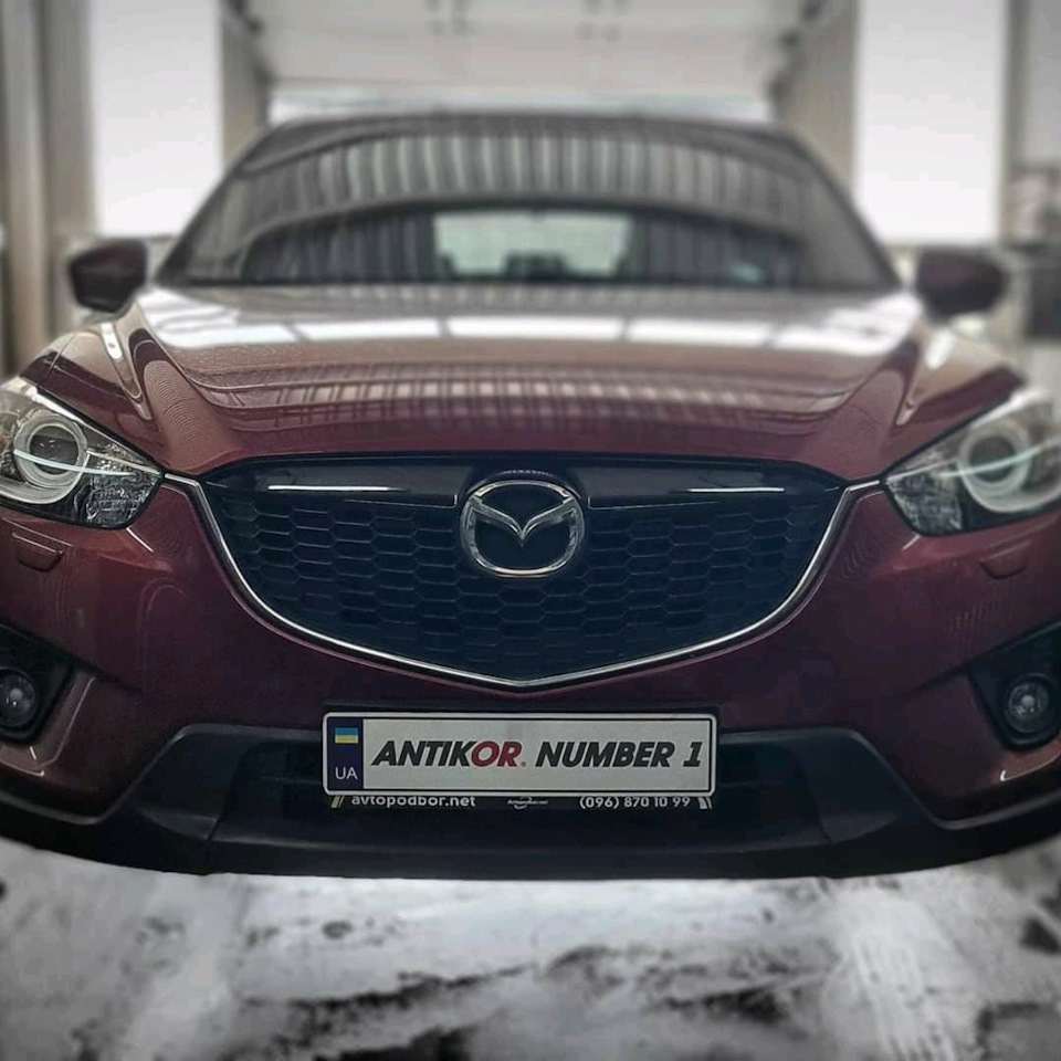 Антикор 1