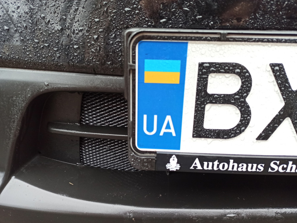 Сітка в передній бампер 1