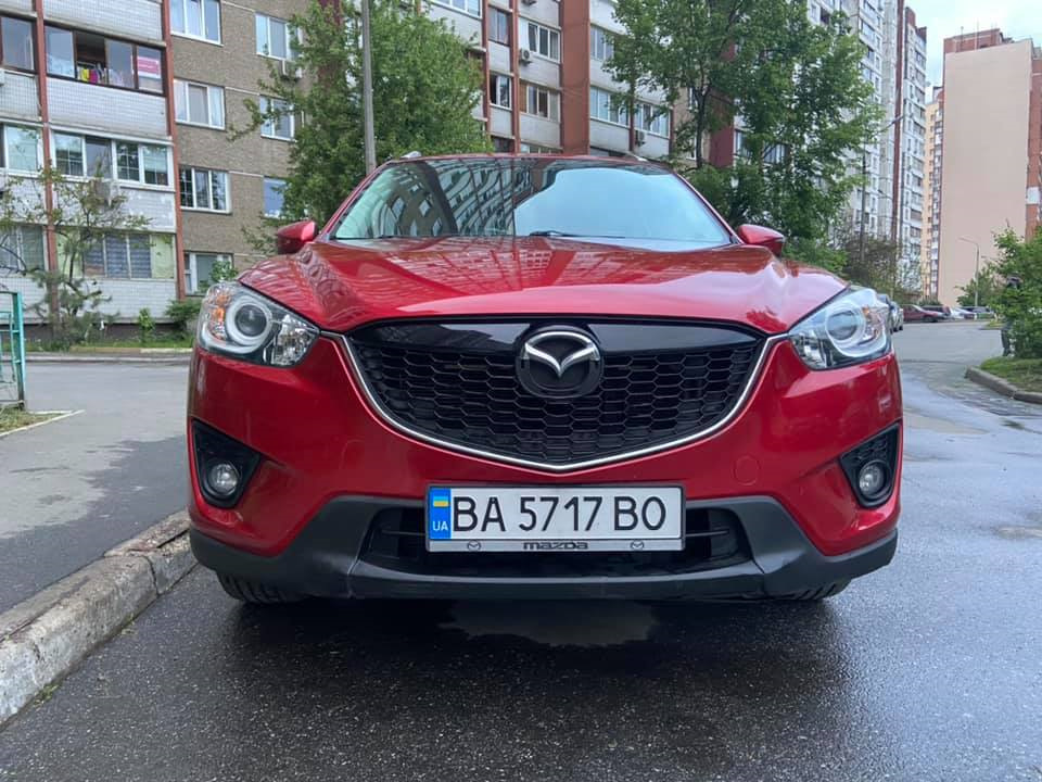 Продам Масяню у дбайливі руки 5