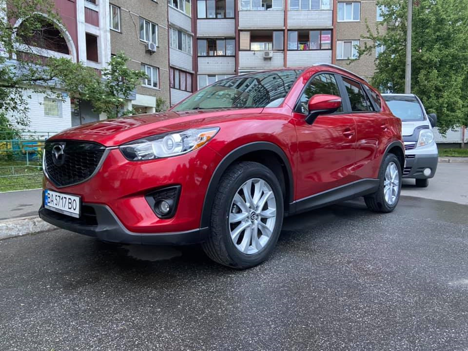 Продам Масяню у дбайливі руки 3