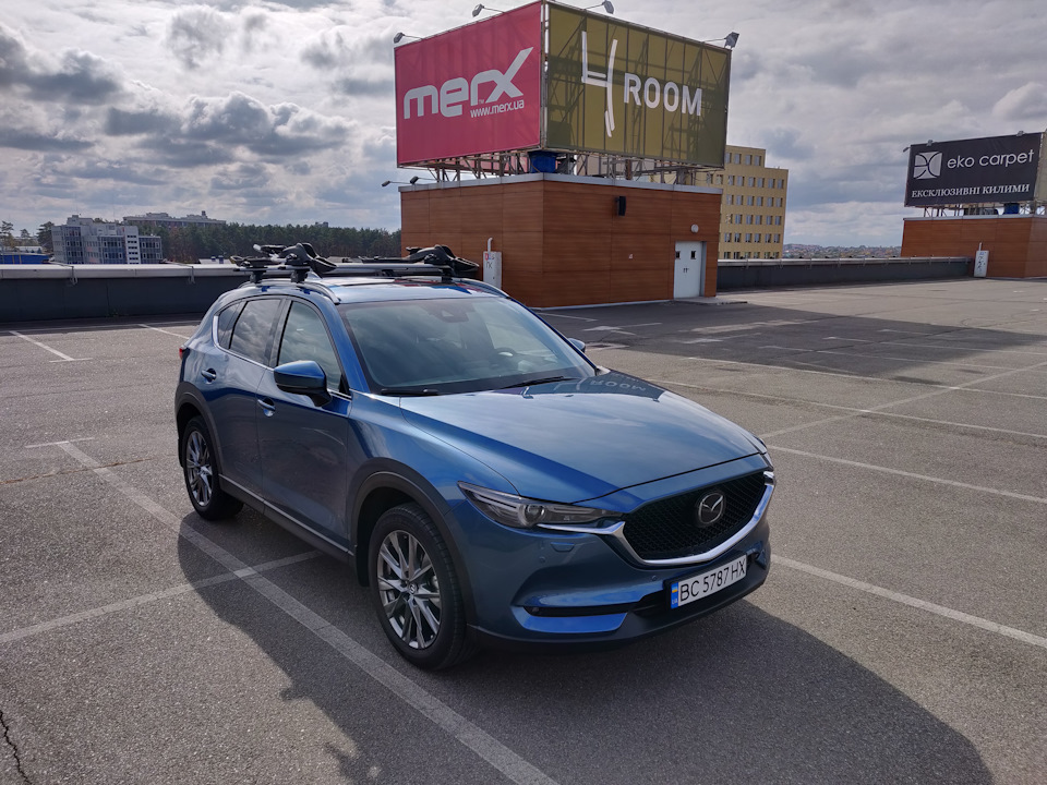 Багажник на дах: поздовжні рейлінги + Thule Wingbar 969 2