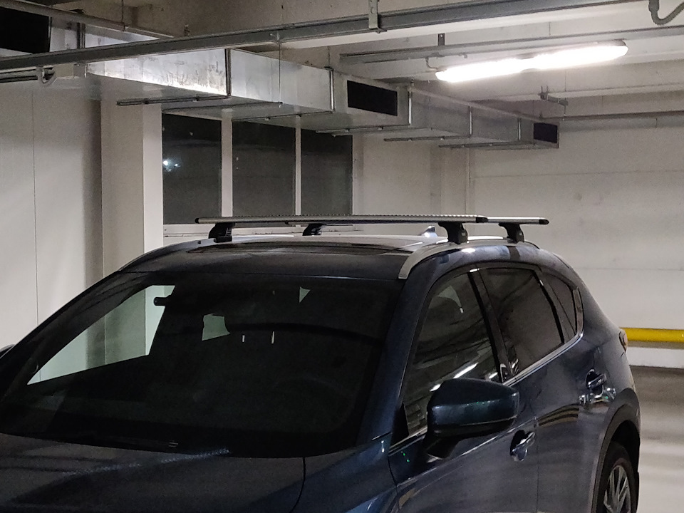Багажник на дах: поздовжні рейлінги + Thule Wingbar 969 5