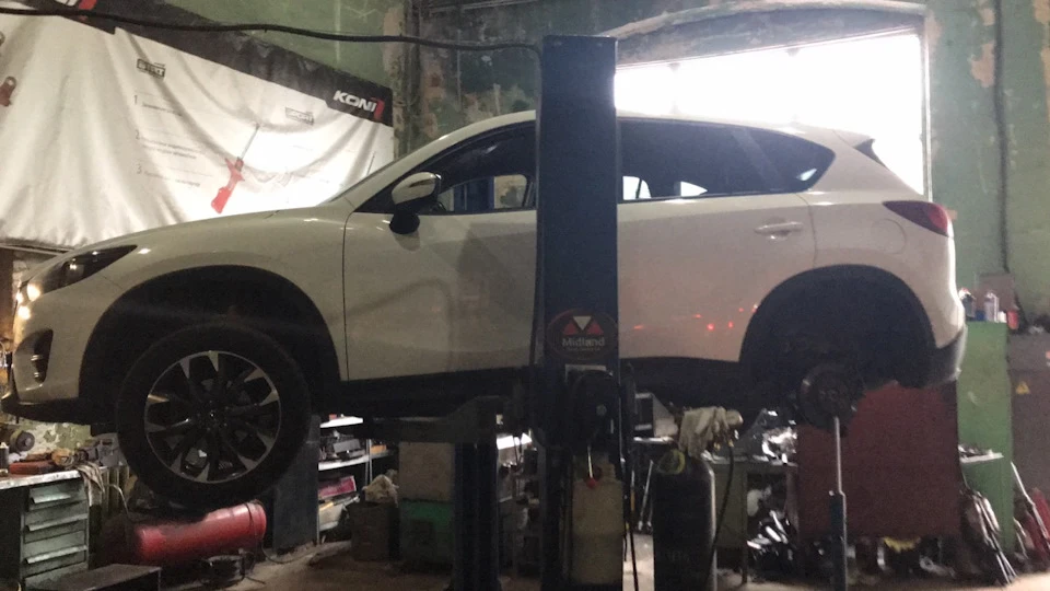 Koni sport