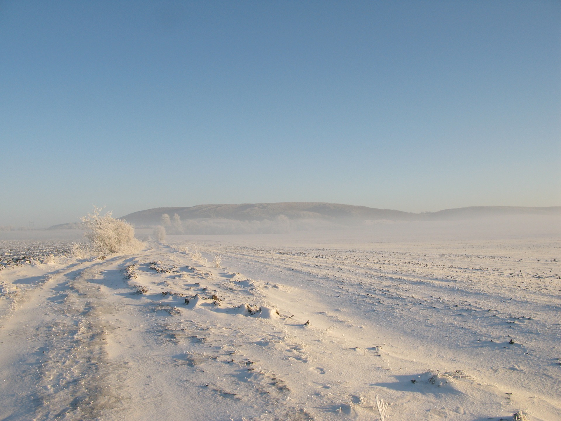 Підгорецький Замок, Львівська область 3