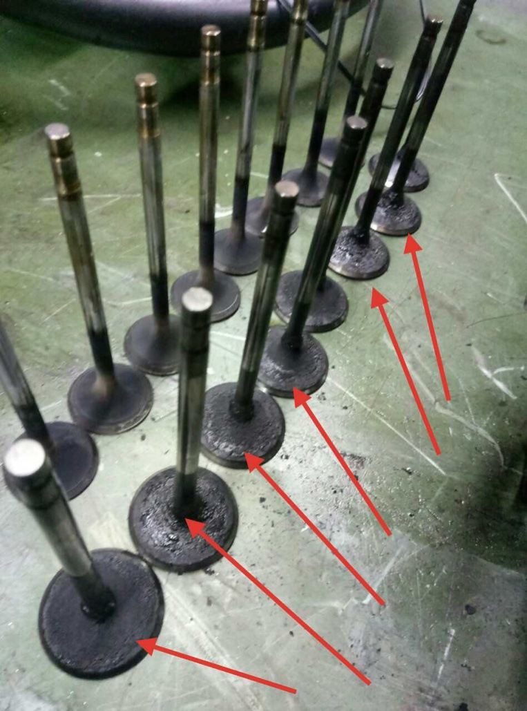 Скарити не можна помилувати 4