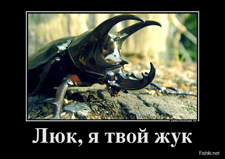 Боротьба з жуками) 1