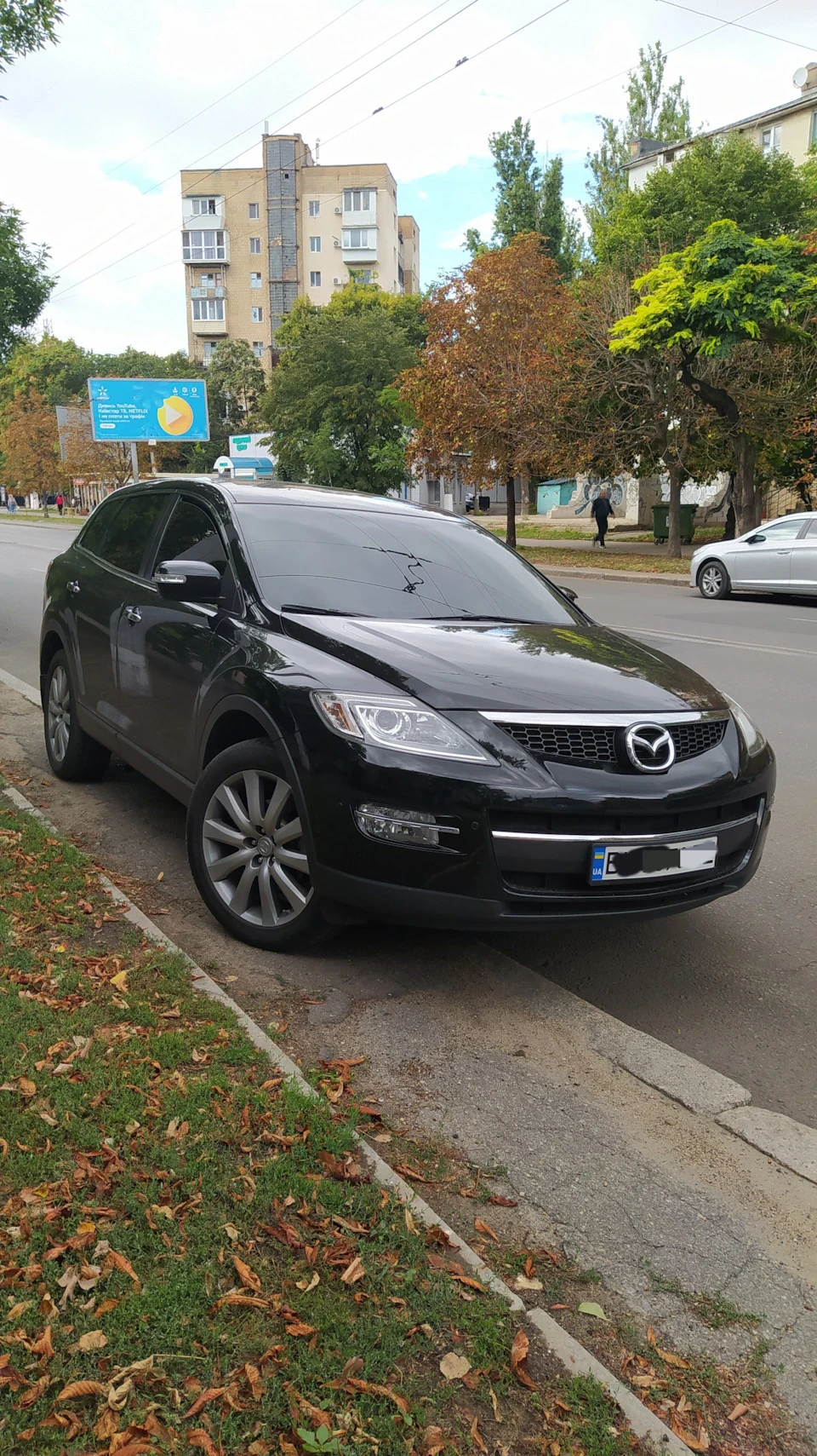Заміна кульової опори