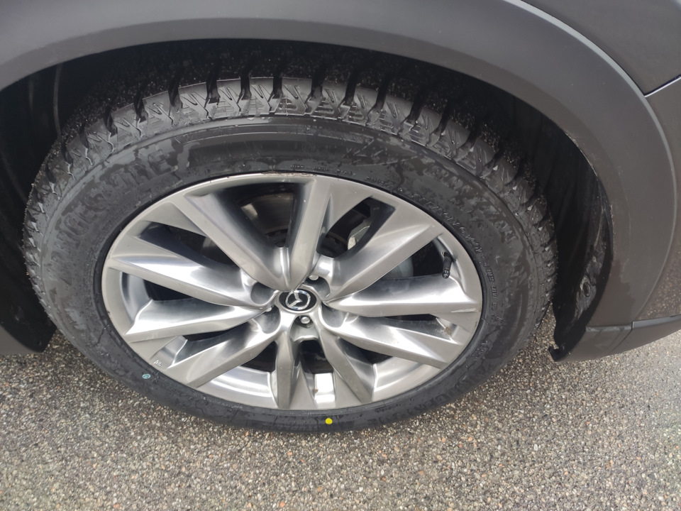 Зимова гума Bridgestone Blizzak DM-V3 4