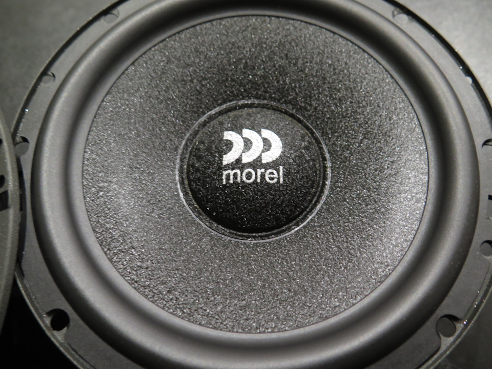 Morel Maximo 6 5