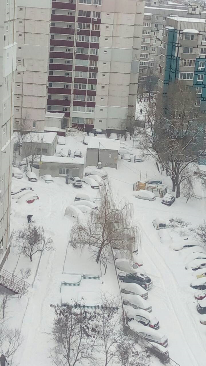 Весна підкралася непомітно 1