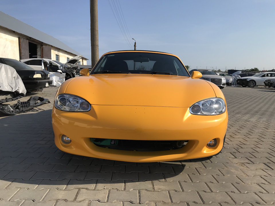 Solar Yellow на сцене! 4