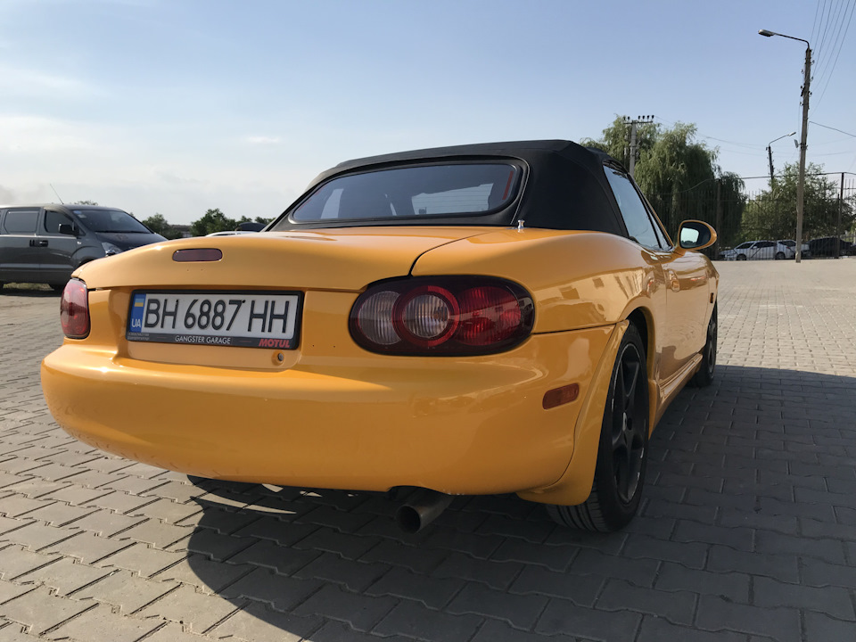 Solar Yellow на сцене! 3
