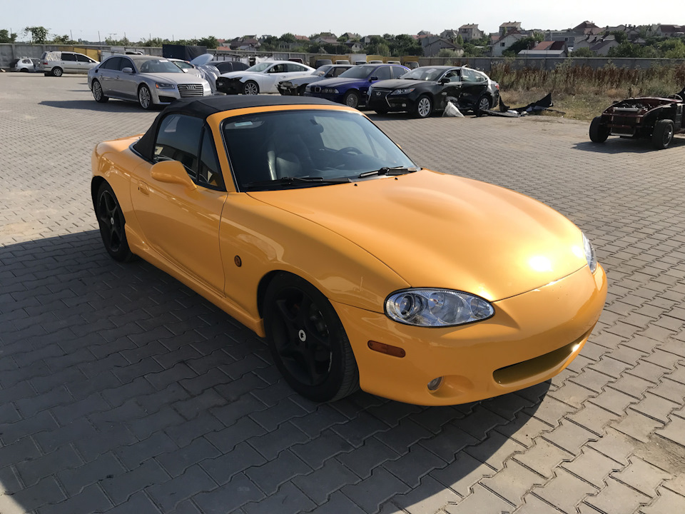 Solar Yellow на сцене! 5