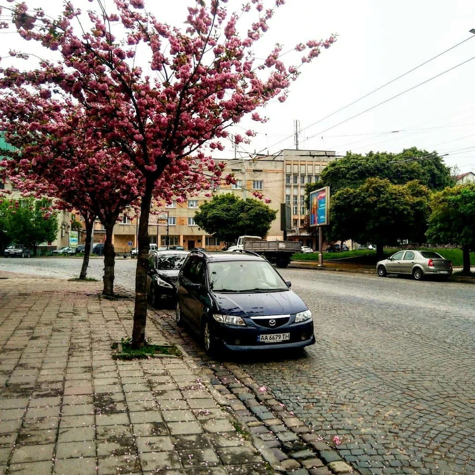 Початок стайлінгу