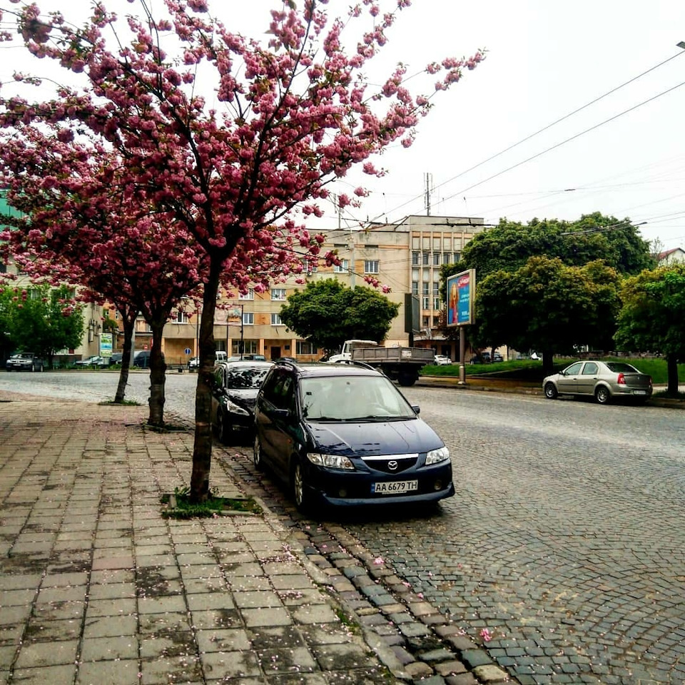 Початок стайлінгу 1