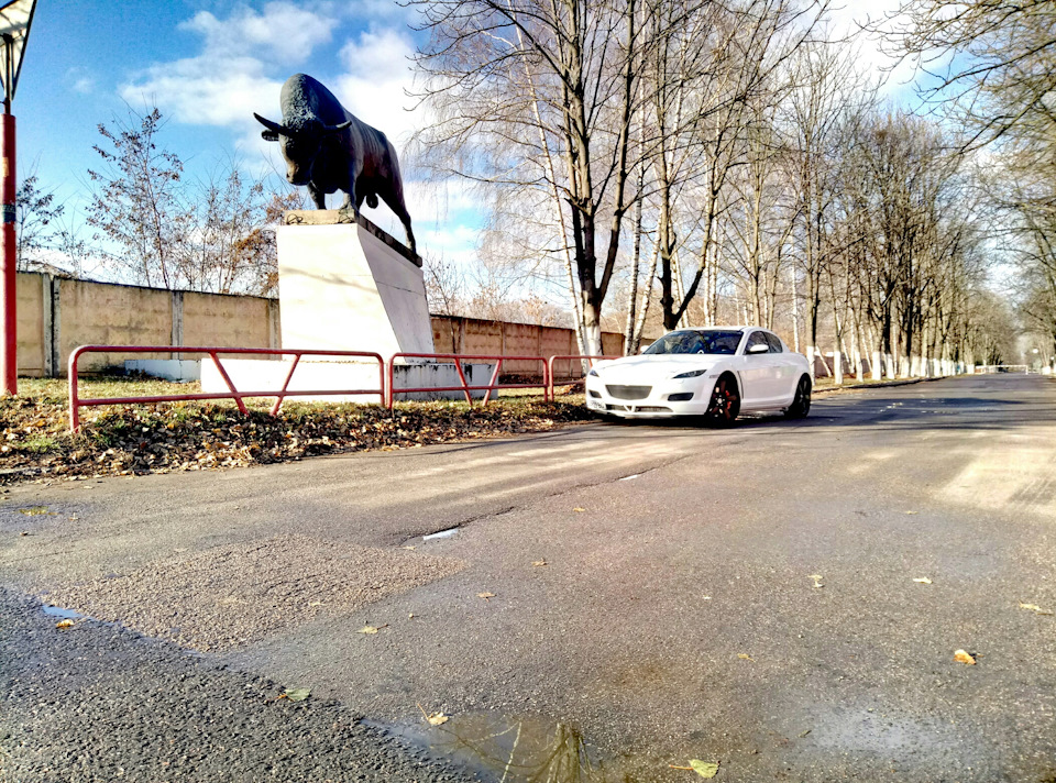 Фото білої злісної рисі 4