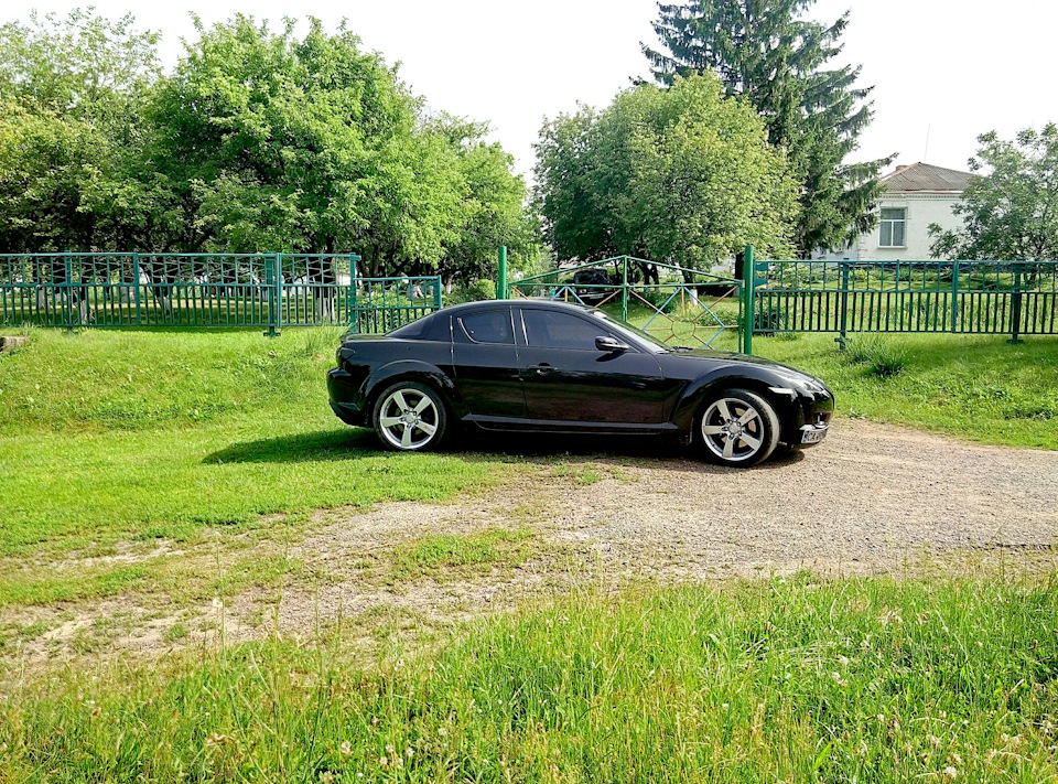 Трохи злобної риси на природі 3
