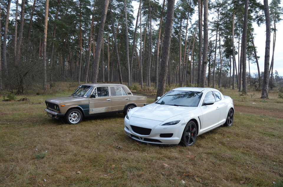 Ну ліс знову) фото 1