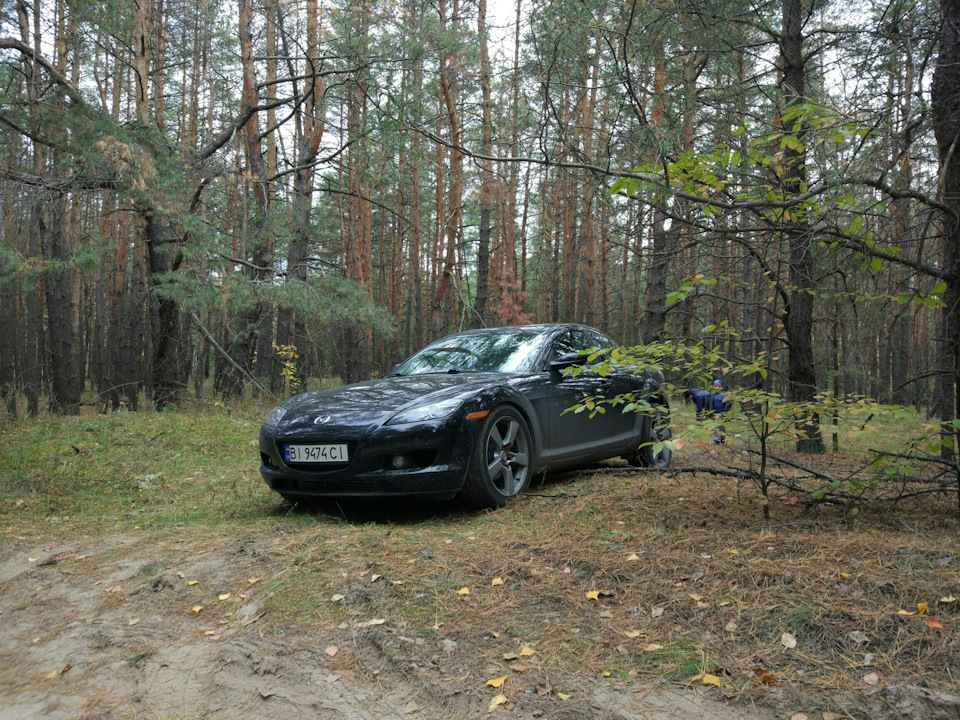 Грибний день 2