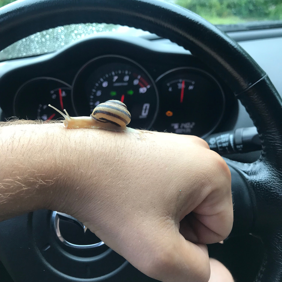 Зима Michelin Pilot Alpin pa4 XL 1