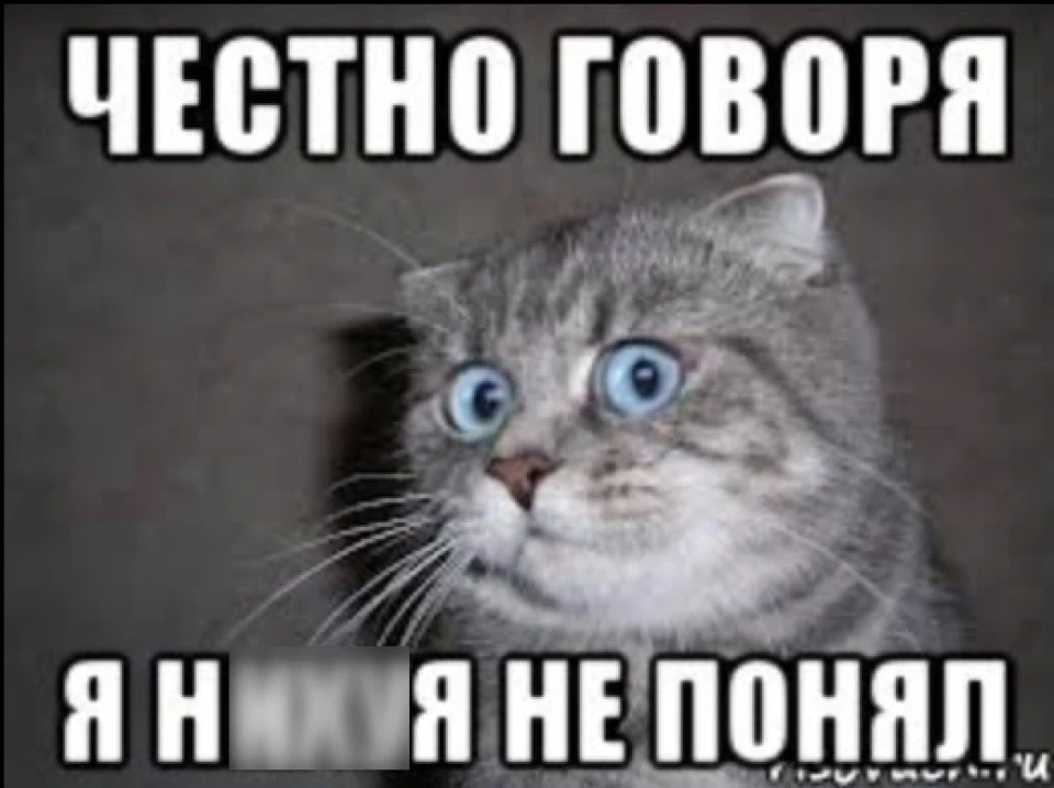 Як про***ть зиму і нічого не зрозуміти