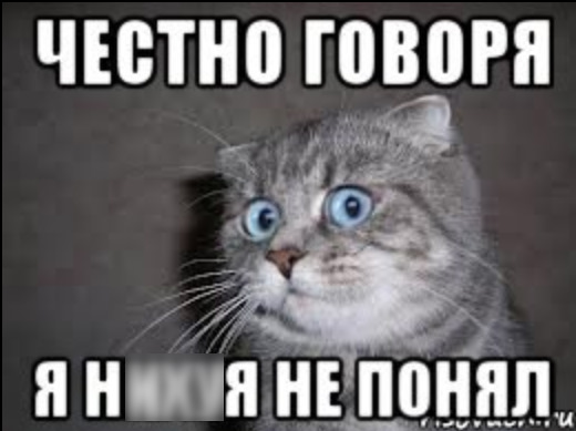 Як про***ть зиму і нічого не зрозуміти 1