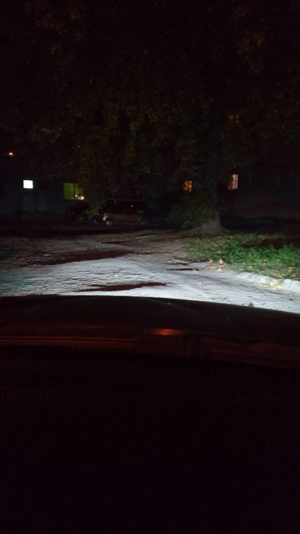 15. Продовження ледизації