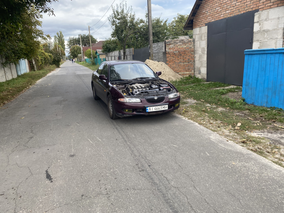 Вигуляв нарешті 😁 3