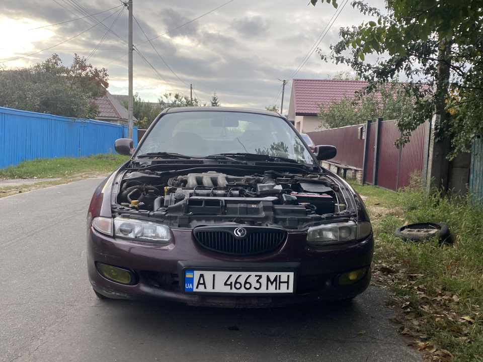 Вигуляв нарешті 😁 2