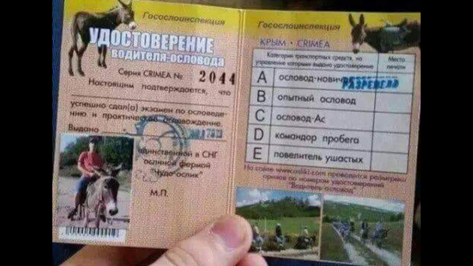 Трохи гумору. 1