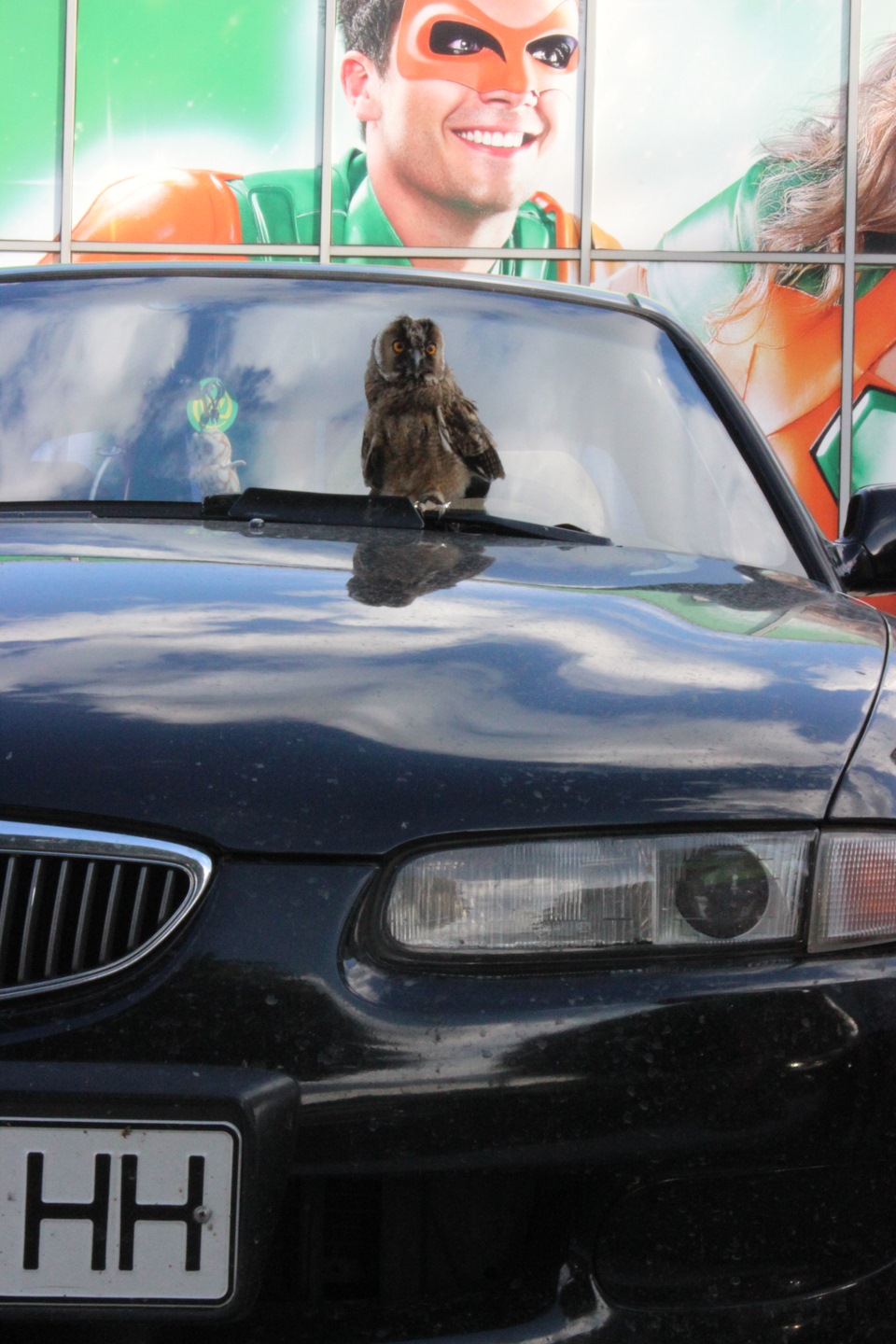 Mazda & Owl 1