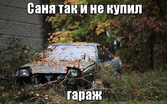 трохи гумору 2