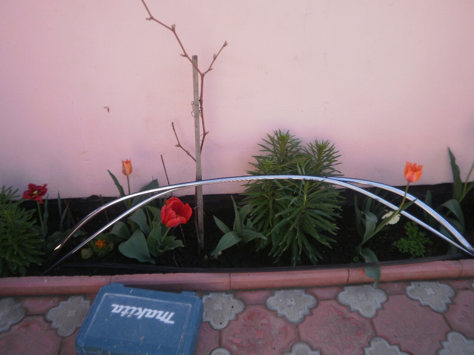 Розбірка паларіуса. 2