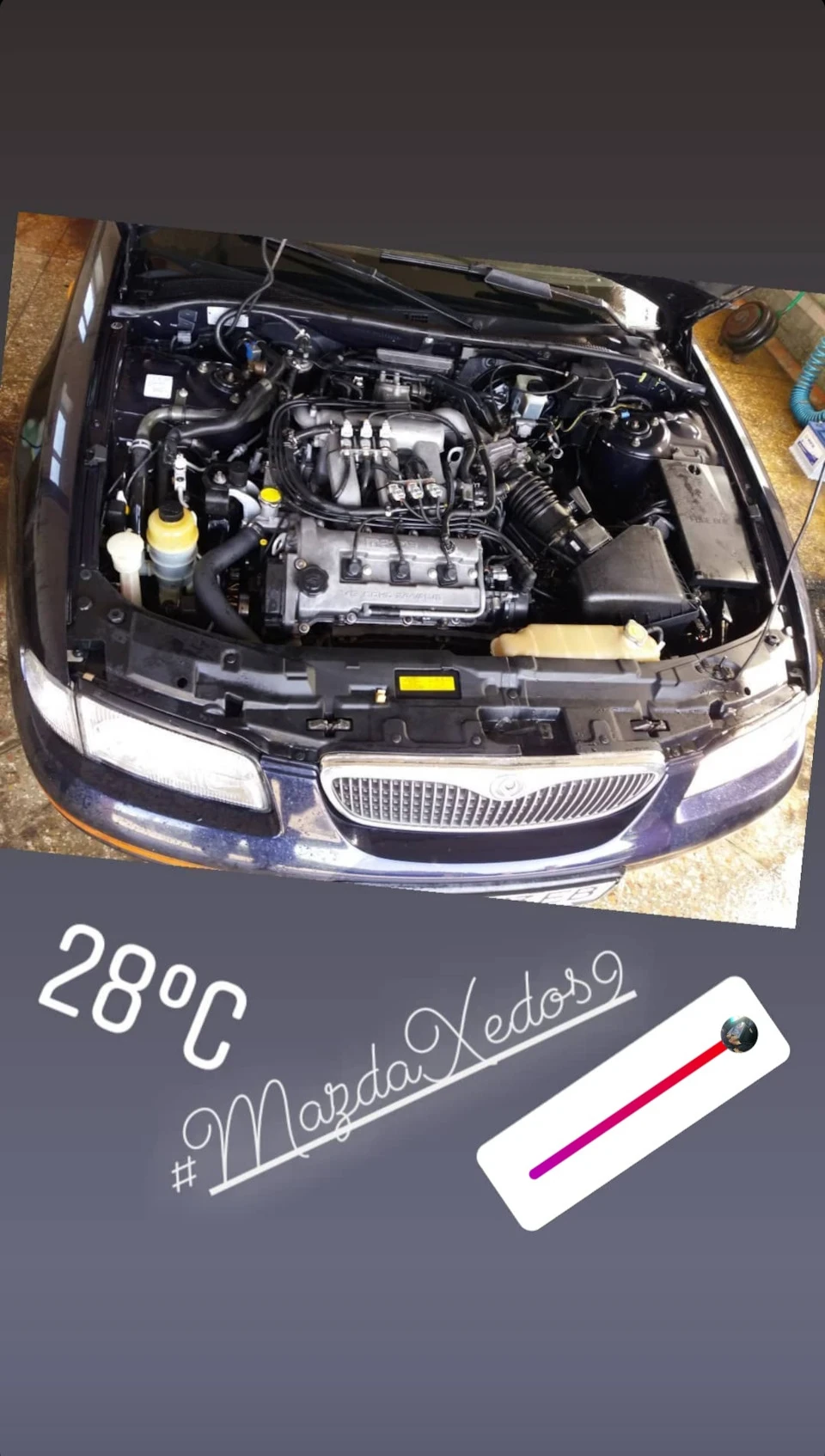 ГБО Xedos9