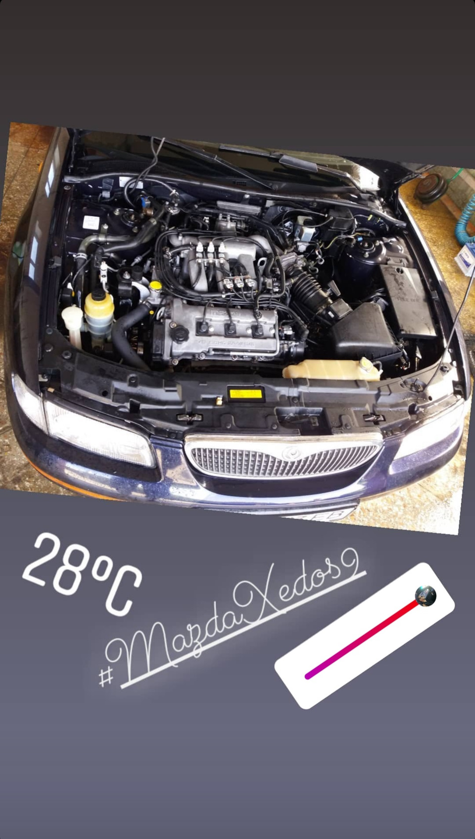 ГБО Xedos9 1