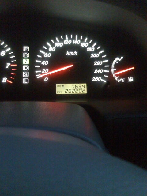 Переступили рубіж 200.000 км! 3