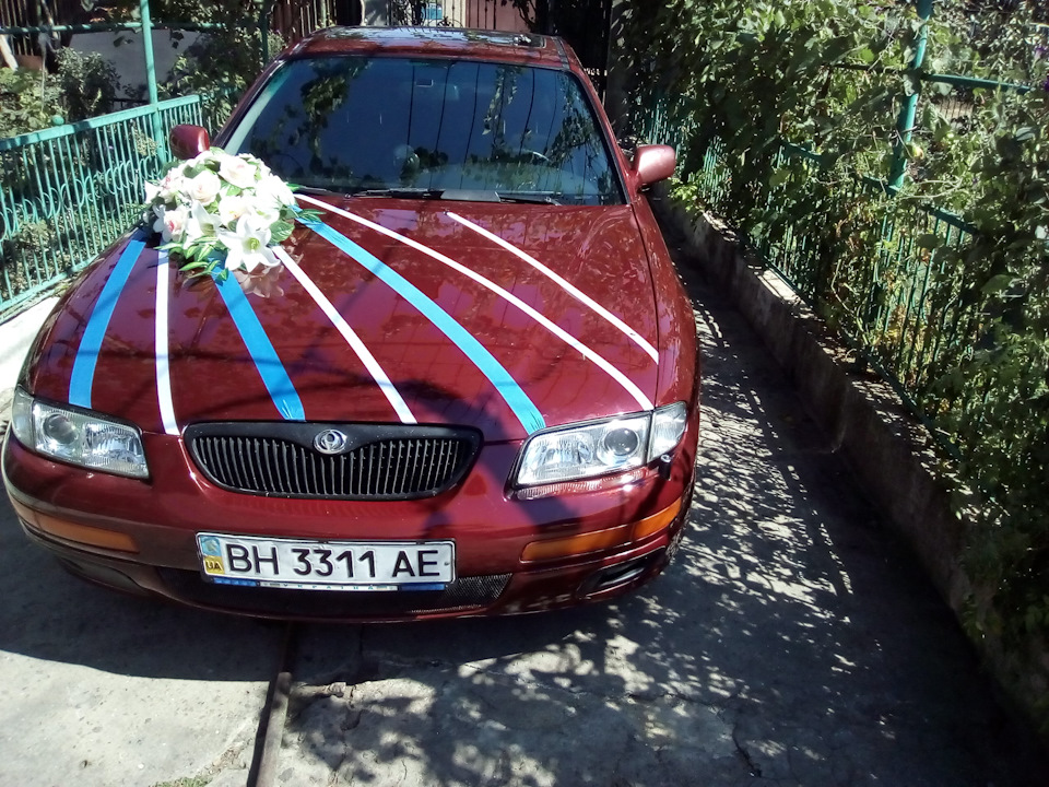 Сьогодні трохи прикрасилися та зробили фото) 4