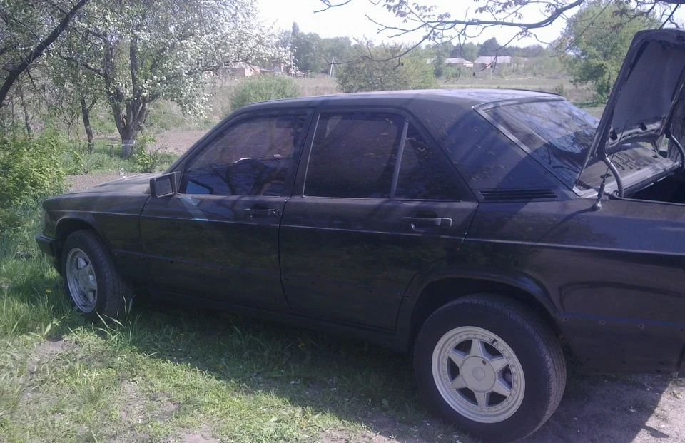 Нарешті Листя і поліровка