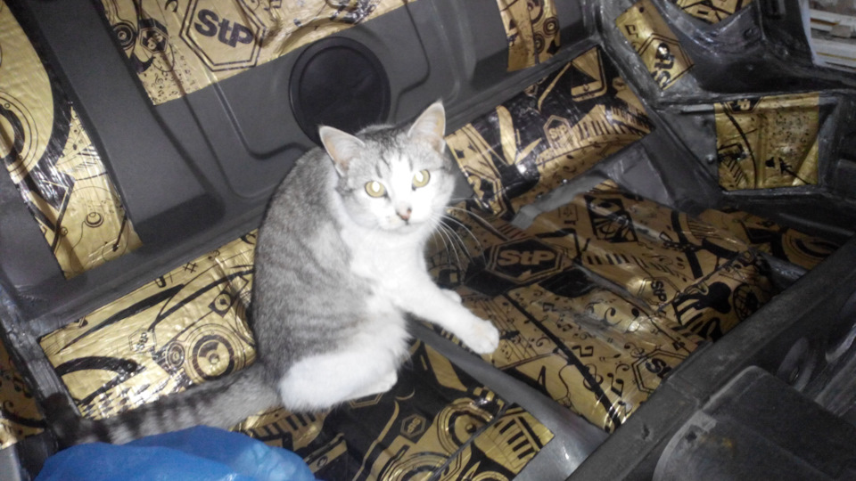 Віброізоляція салону та саморобний захист двигуна 3