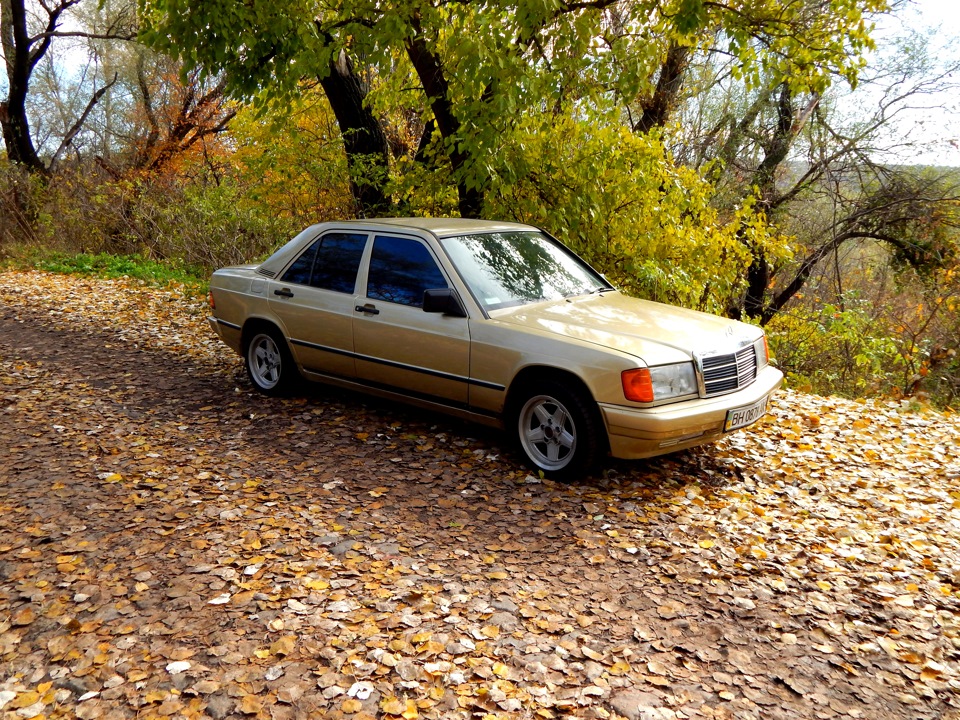 просто осінь... 3