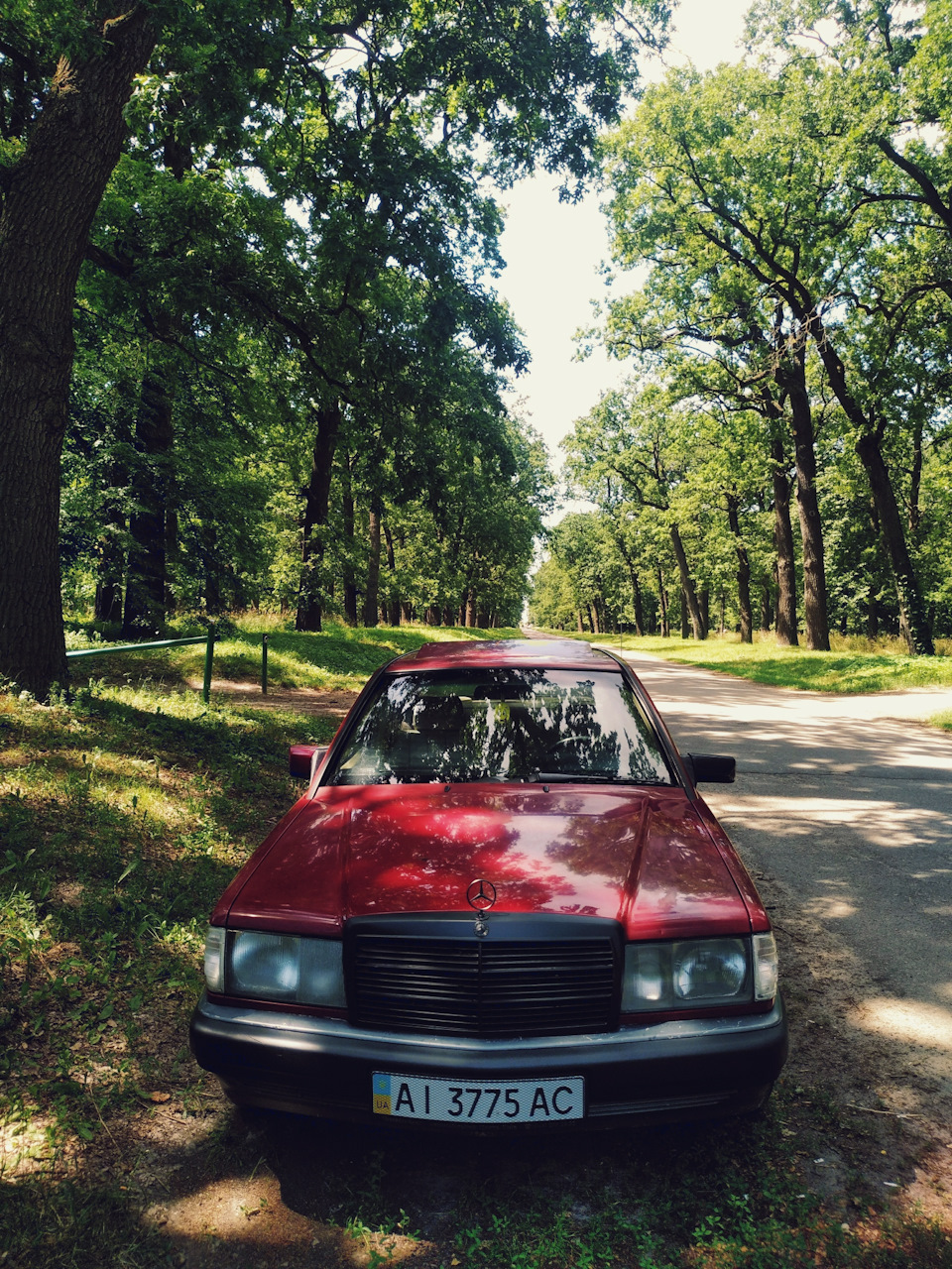 Фото 3