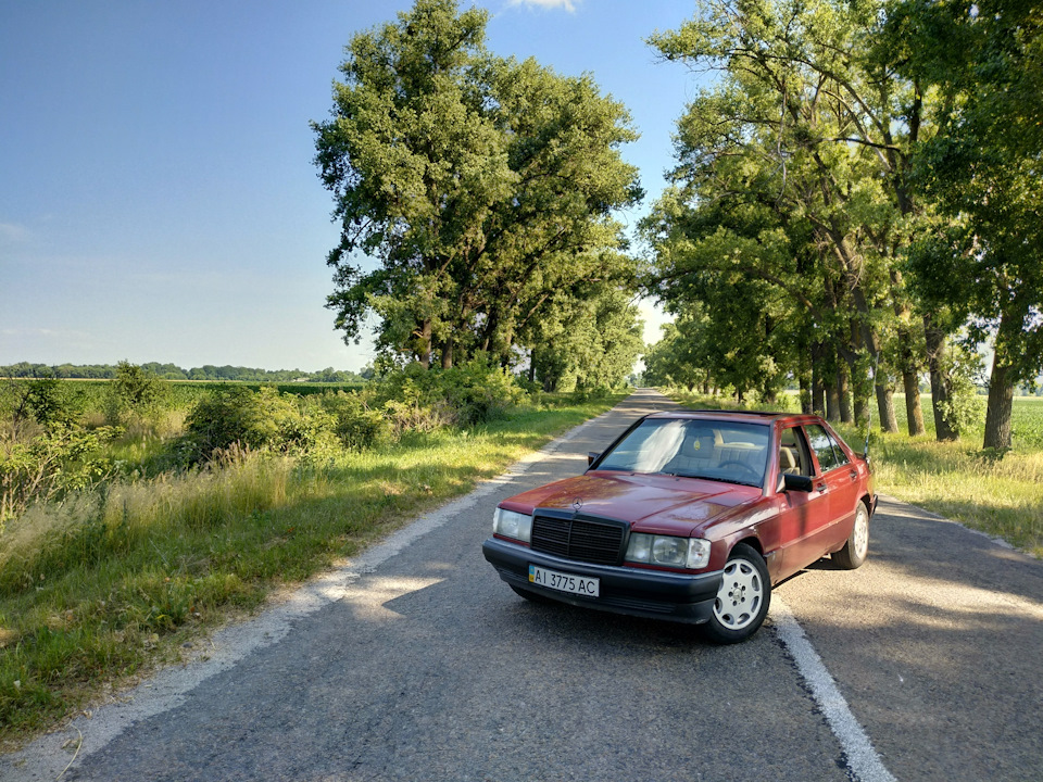 Фото на природі 1
