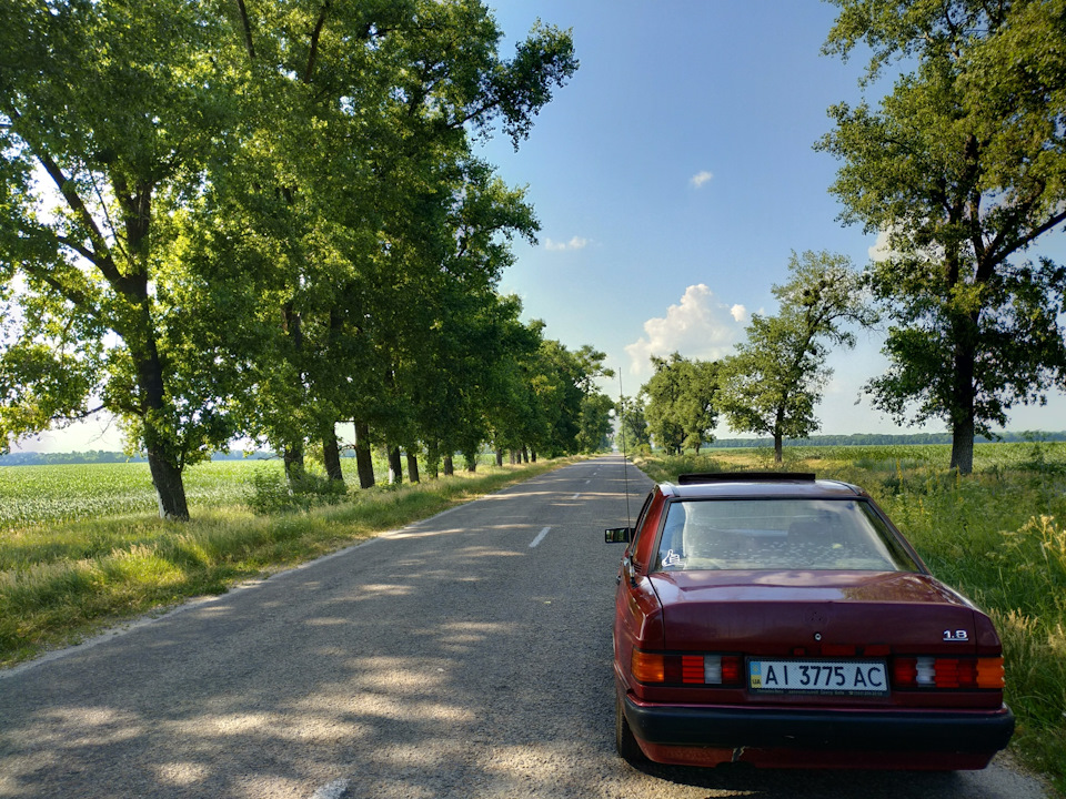 Фото на природі 5