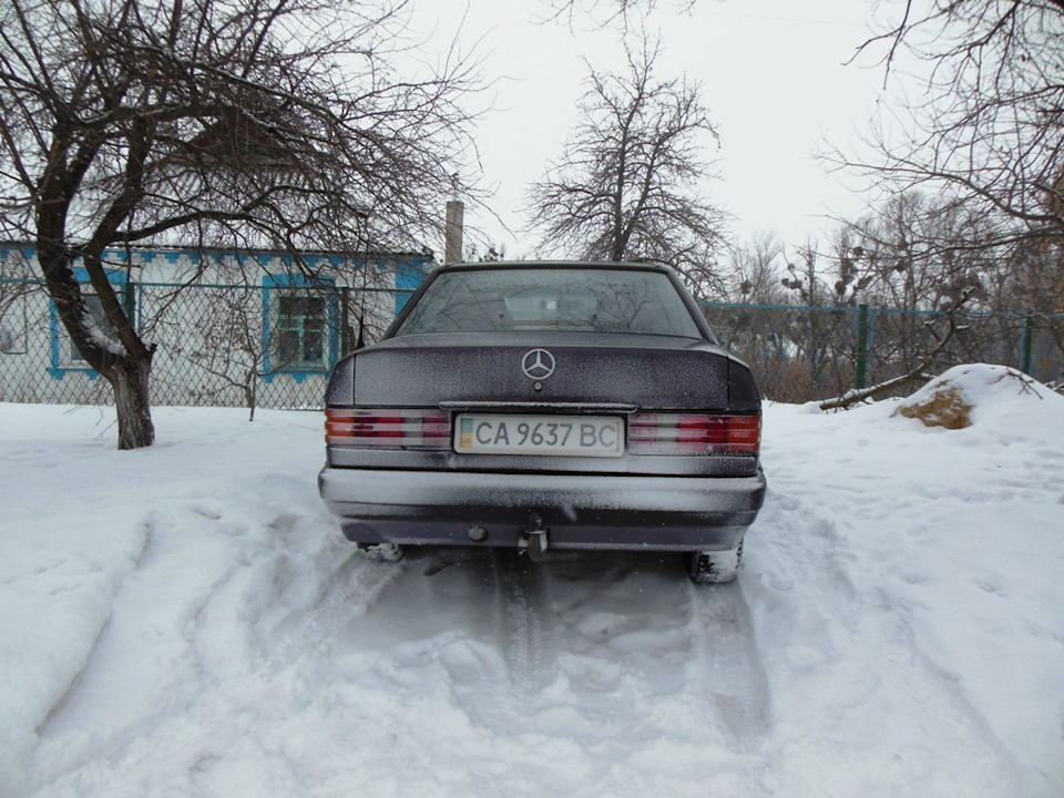 BORNIT зима 2019 4