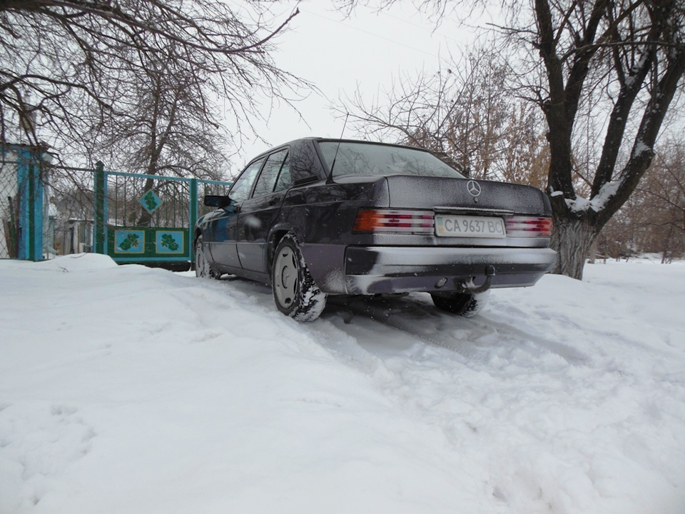 BORNIT зима 2019 3