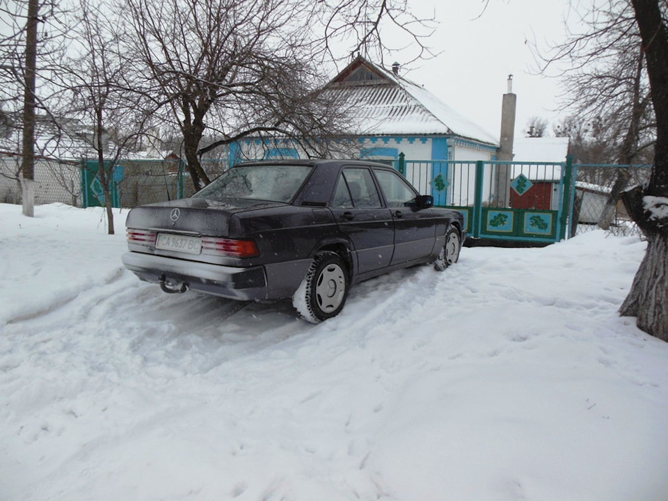 BORNIT зима 2019 5