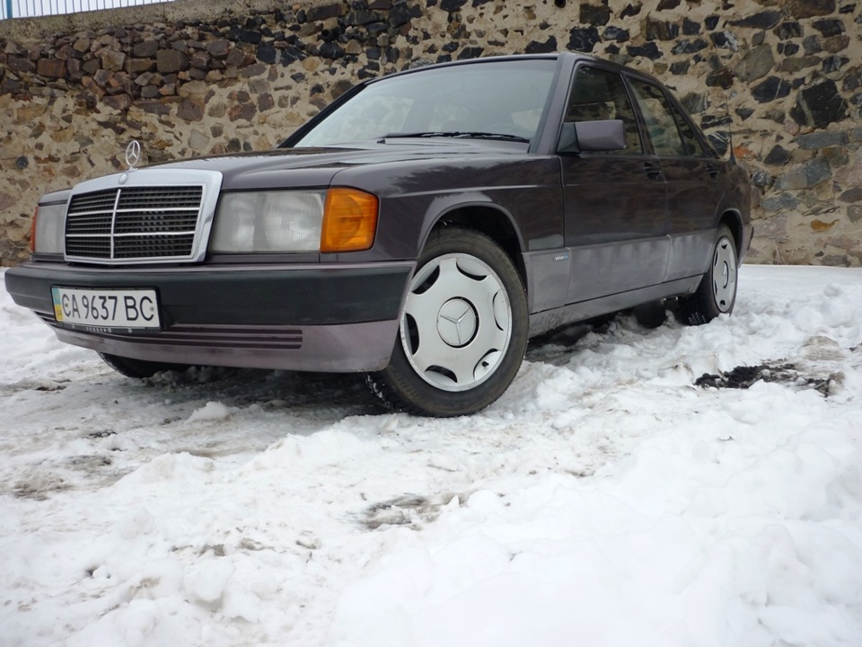 BORNIT взимку 4