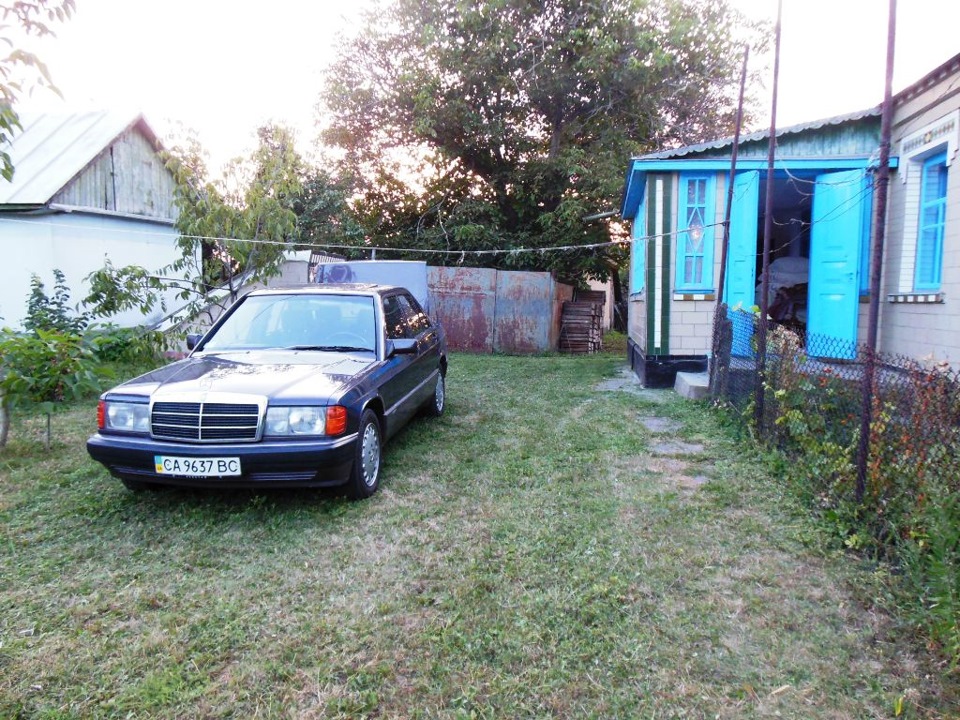 килими на зиму 2
